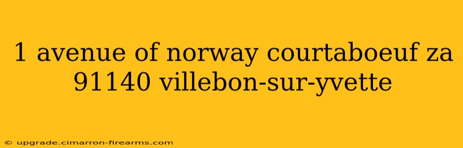 1 avenue of norway courtaboeuf za 91140 villebon-sur-yvette