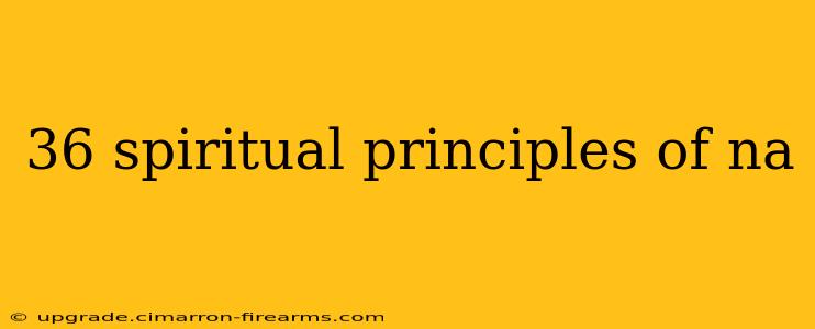 36 spiritual principles of na