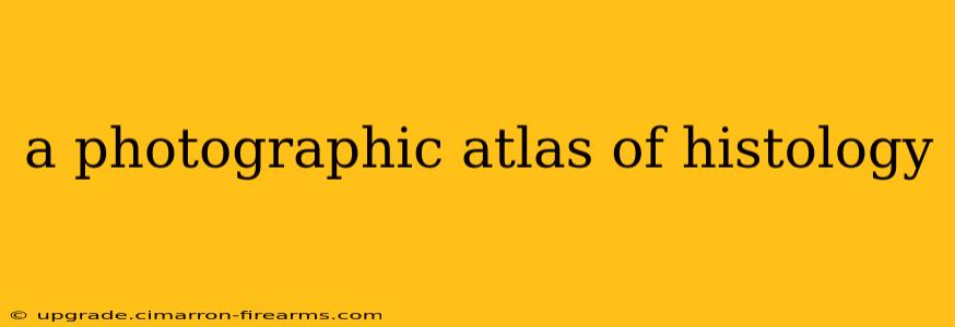 a photographic atlas of histology