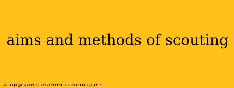 aims and methods of scouting