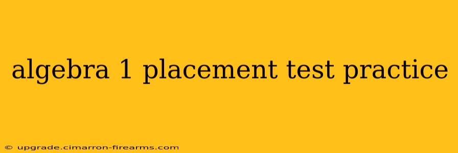 algebra 1 placement test practice