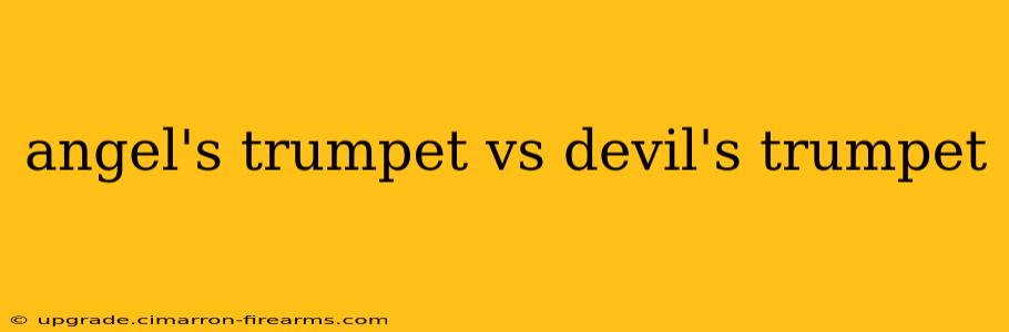 angel's trumpet vs devil's trumpet