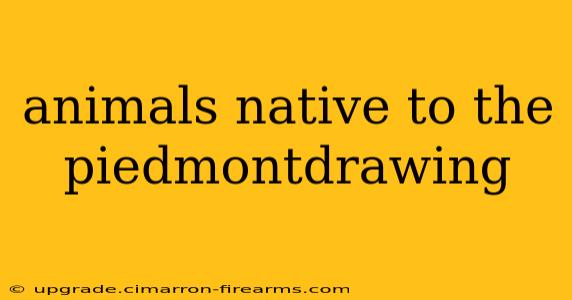 animals native to the piedmontdrawing