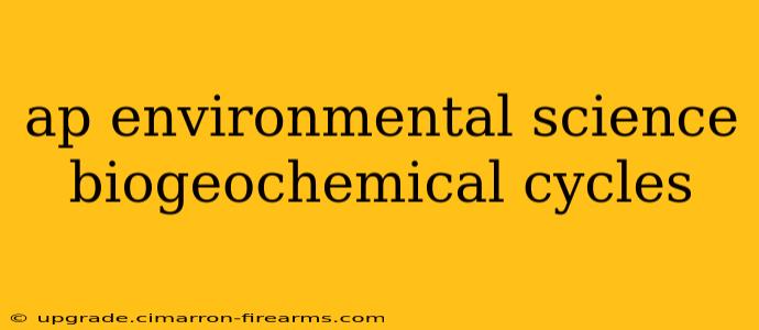 ap environmental science biogeochemical cycles