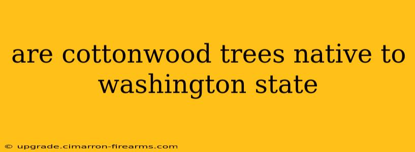 are cottonwood trees native to washington state