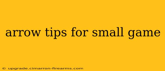 arrow tips for small game