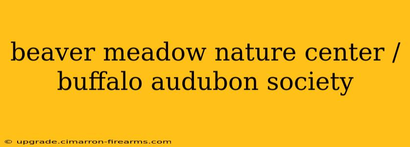 beaver meadow nature center / buffalo audubon society