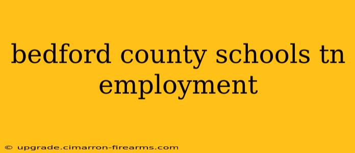 bedford county schools tn employment