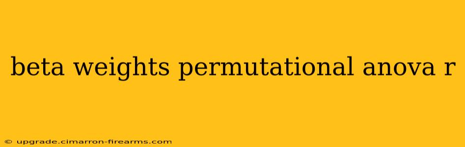 beta weights permutational anova r