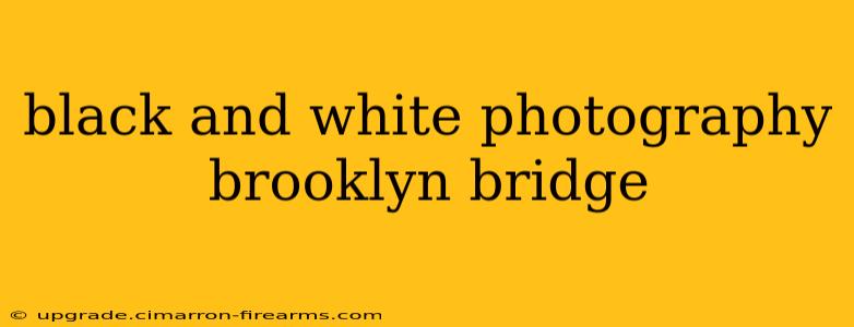 black and white photography brooklyn bridge