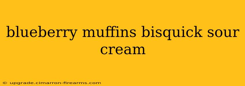 blueberry muffins bisquick sour cream