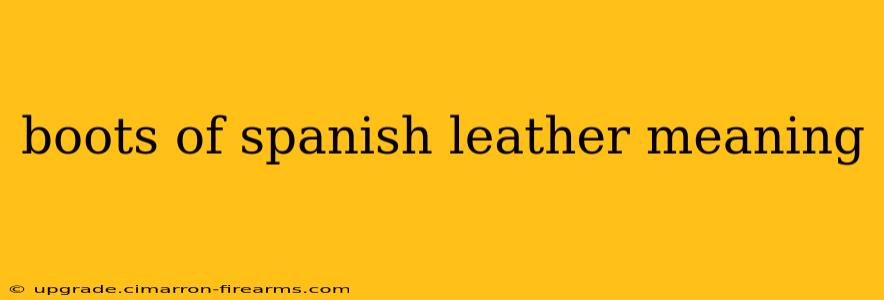 boots of spanish leather meaning