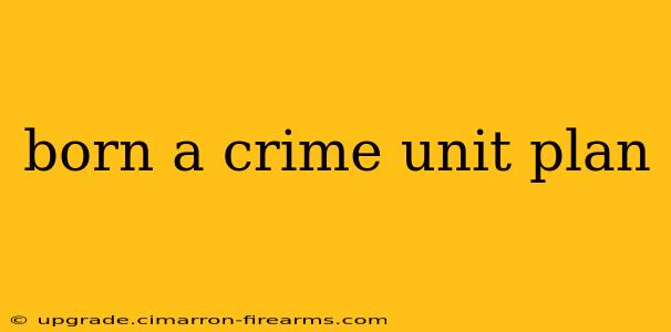 born a crime unit plan