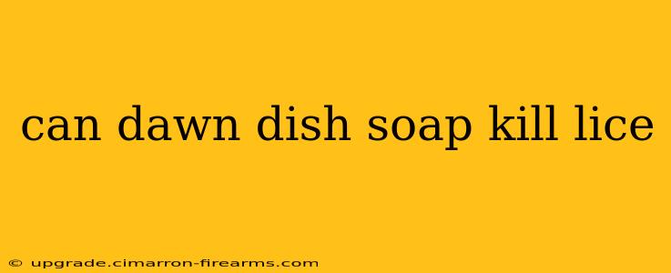 can dawn dish soap kill lice