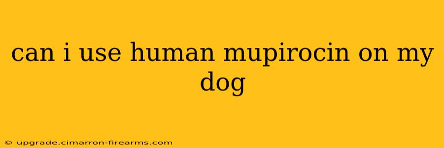 can i use human mupirocin on my dog