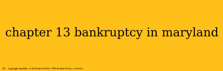 chapter 13 bankruptcy in maryland