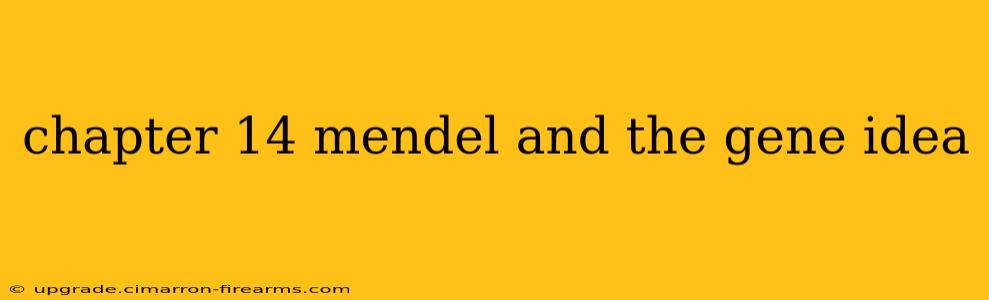 chapter 14 mendel and the gene idea