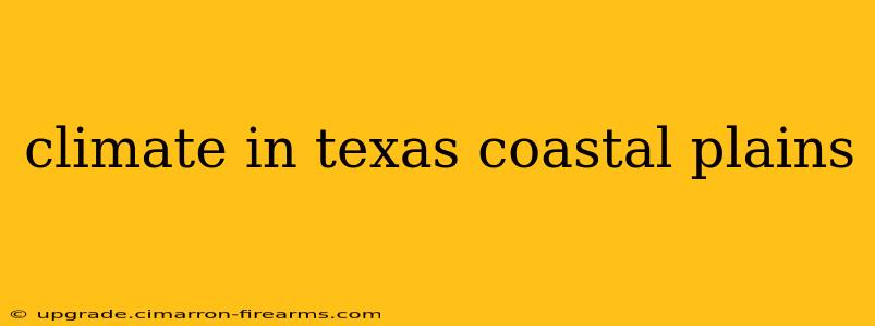 climate in texas coastal plains