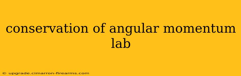 conservation of angular momentum lab