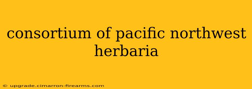 consortium of pacific northwest herbaria