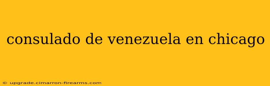 consulado de venezuela en chicago