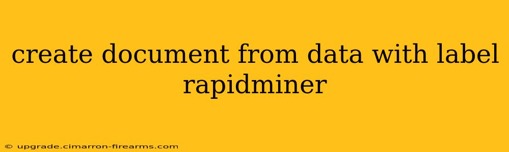 create document from data with label rapidminer