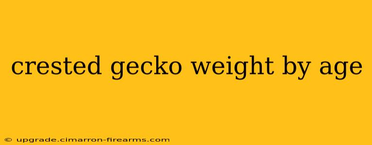 crested gecko weight by age