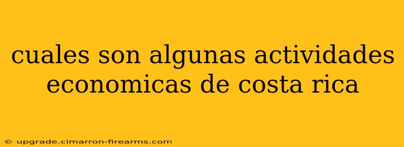 cuales son algunas actividades economicas de costa rica