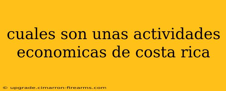 cuales son unas actividades economicas de costa rica