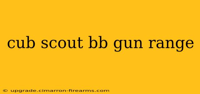 cub scout bb gun range