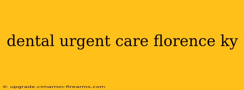 dental urgent care florence ky