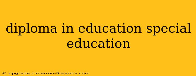 diploma in education special education