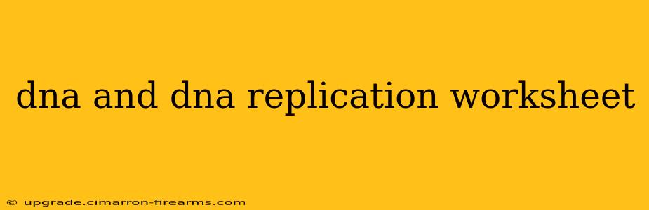 dna and dna replication worksheet