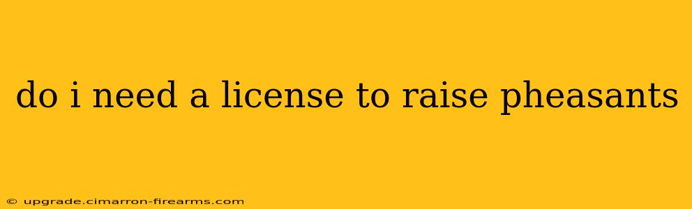 do i need a license to raise pheasants