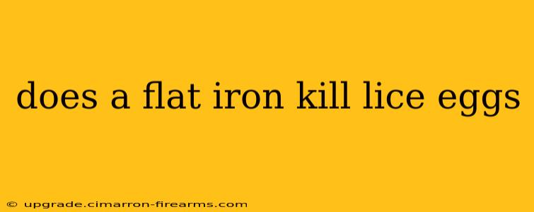 does a flat iron kill lice eggs