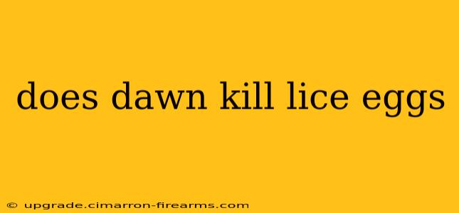 does dawn kill lice eggs