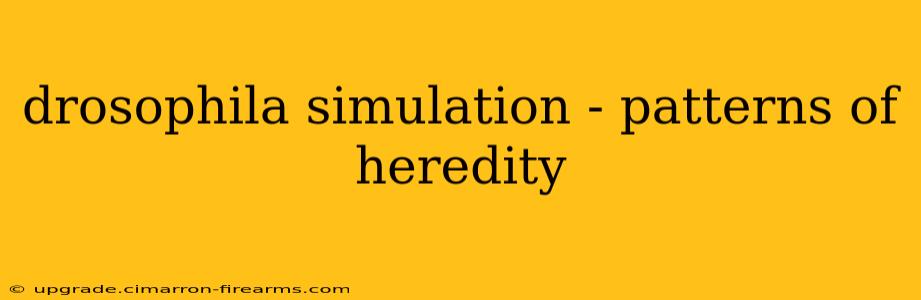 drosophila simulation - patterns of heredity