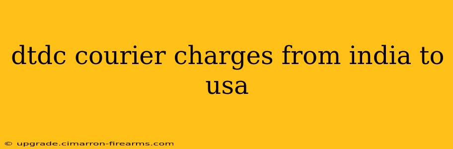 dtdc courier charges from india to usa