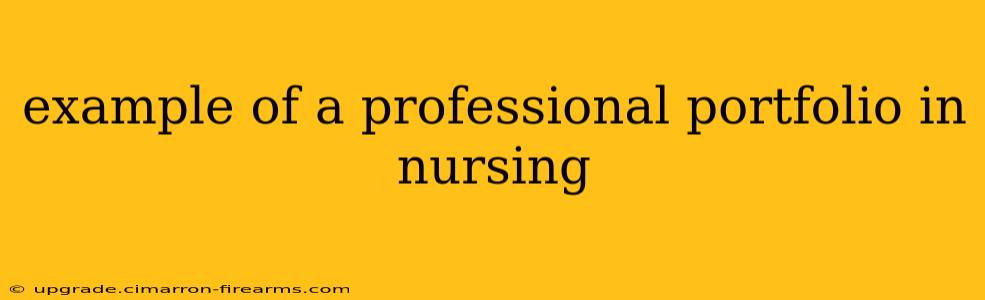 example of a professional portfolio in nursing