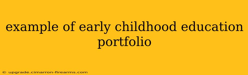 example of early childhood education portfolio