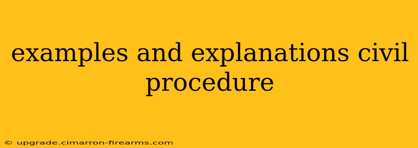 examples and explanations civil procedure