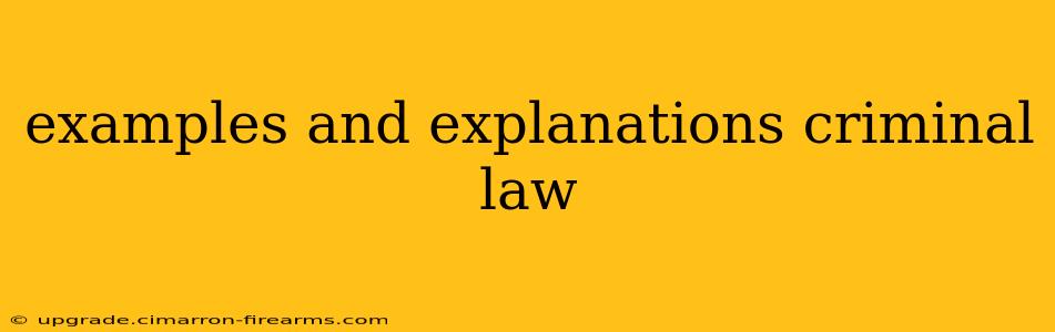 examples and explanations criminal law