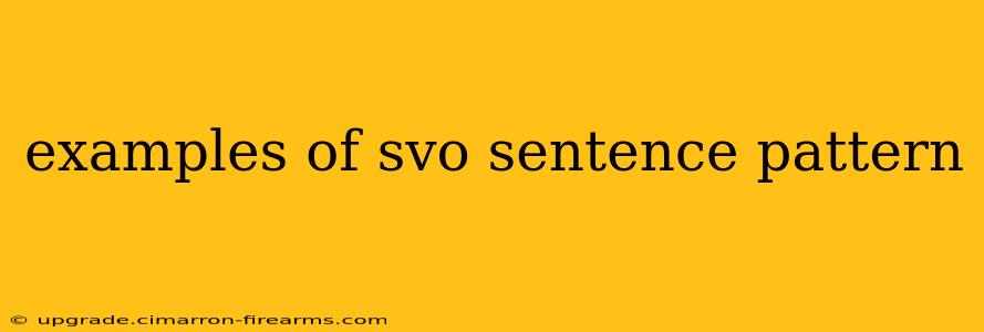 examples of svo sentence pattern