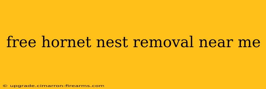 free hornet nest removal near me