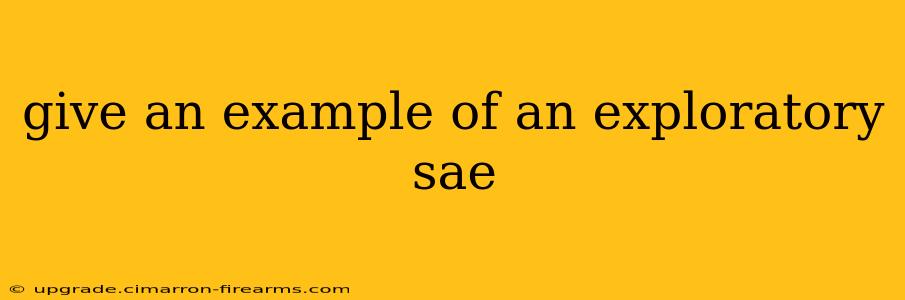 give an example of an exploratory sae