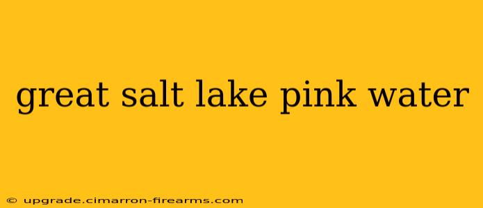 great salt lake pink water