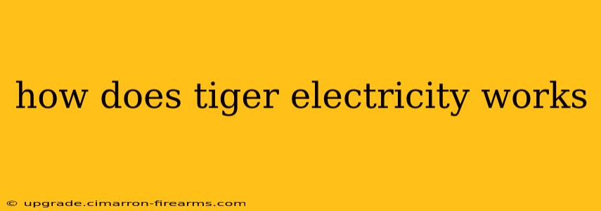 how does tiger electricity works