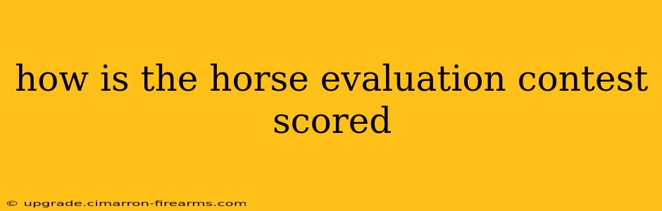 how is the horse evaluation contest scored