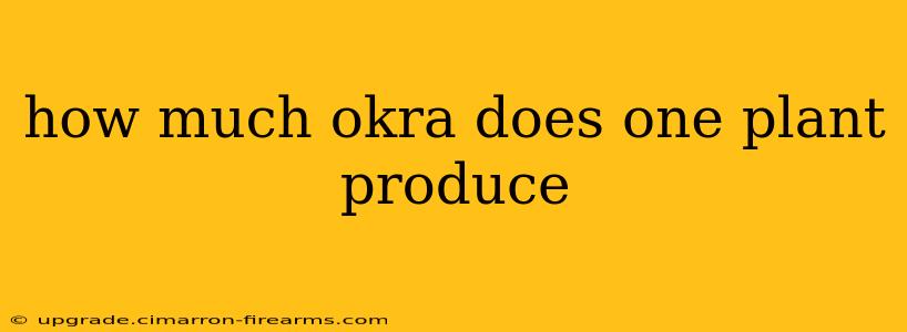 how much okra does one plant produce