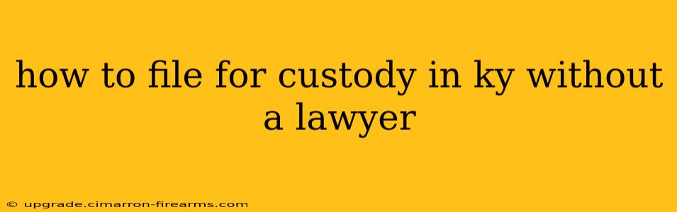 how to file for custody in ky without a lawyer